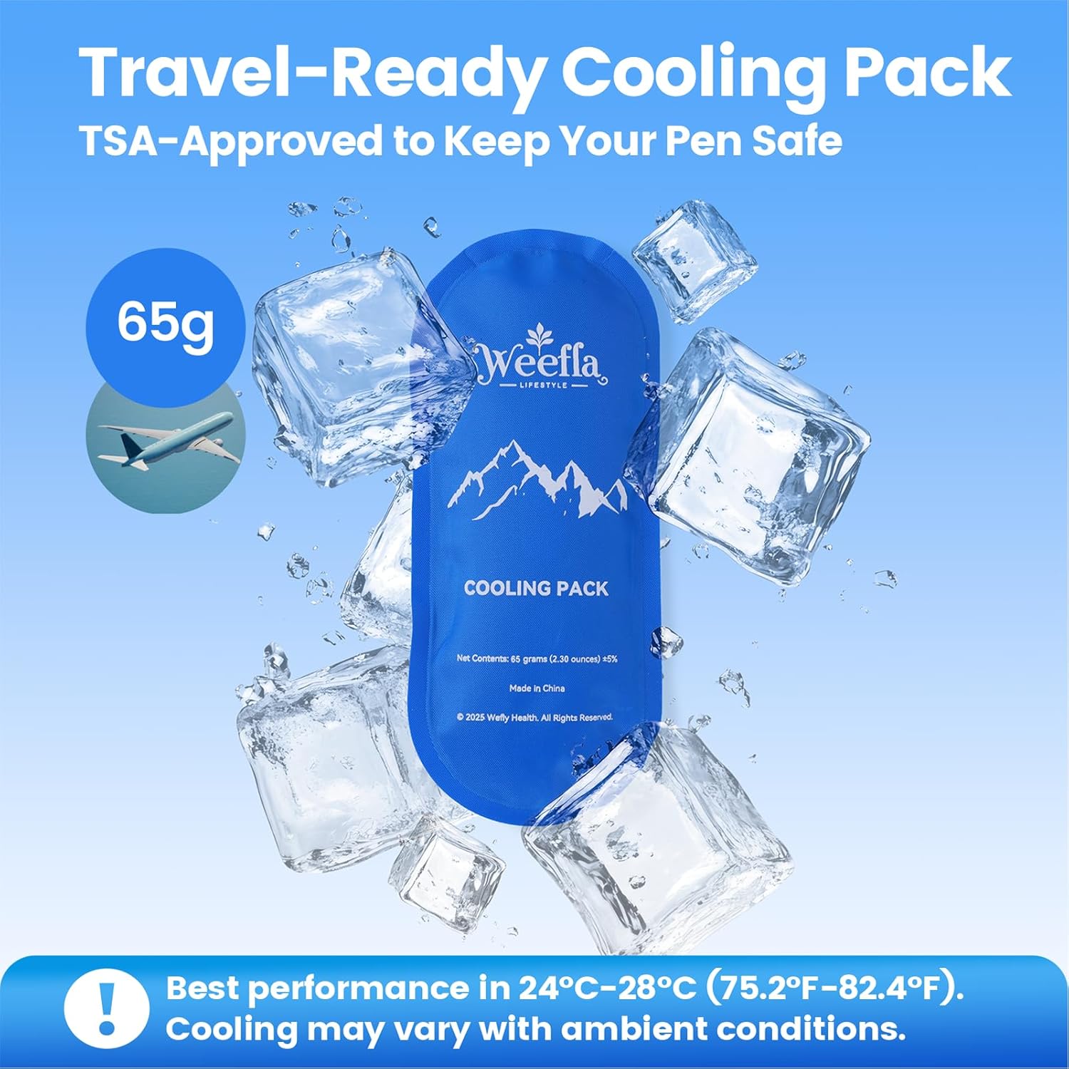 Ozempic or Wegovy Insulated Cooler Travel Case